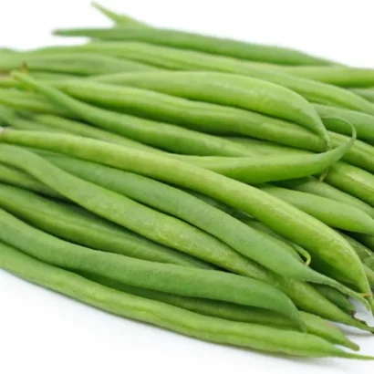 France Beans OS Imported Black Plant with Green Pods – Hybrid Imported Variety for Home Garden and Farm