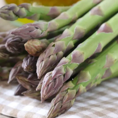 Asparagus Mary Washington