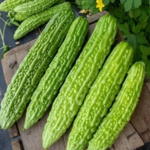 Bitter Gourd Jhalri Seeds –