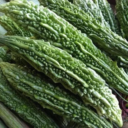 Bitter Gourd Santur Seeds