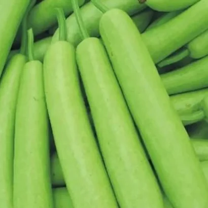 Bottle Gourd Sumant (Anapakaya / Sorakaya) Seeds