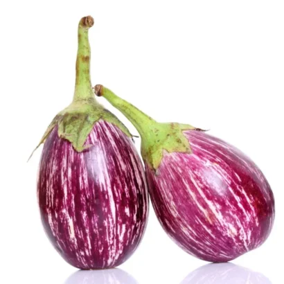 Brinjal CVK MK 124 (Sarala Vankay) Seeds