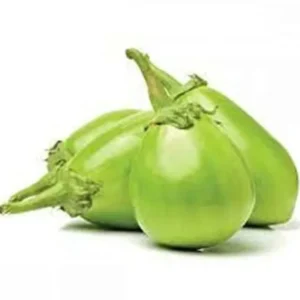 Brinjal Green OS 995