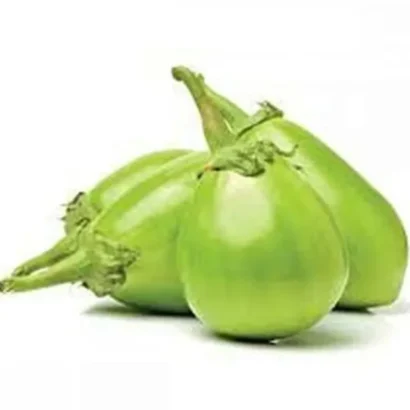 Brinjal Green OS 995