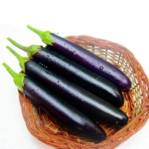 Brinjal Him Mani 412 (Black Long Vankaya) Seeds