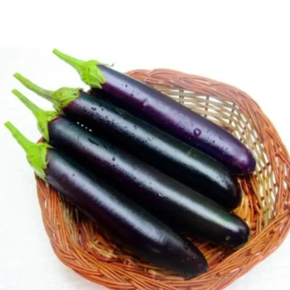 Brinjal Him Mani 412 (Black Long Vankaya) Seeds
