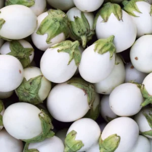 Brinjal White