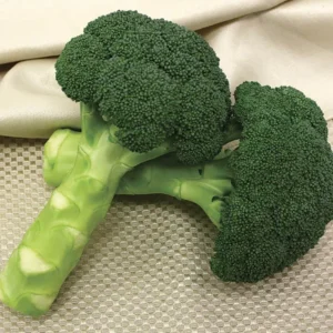 Broccoli Green Imported Seeds