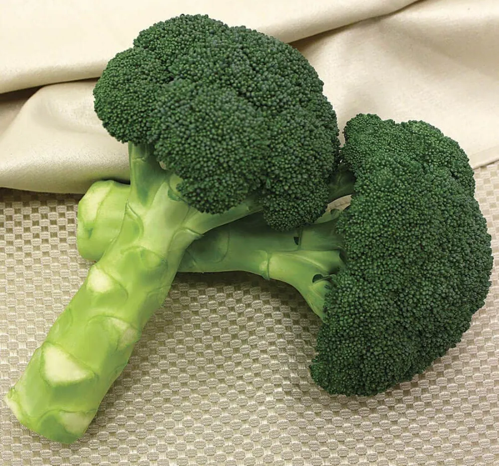 3 Broccoli Green Imported Seeds