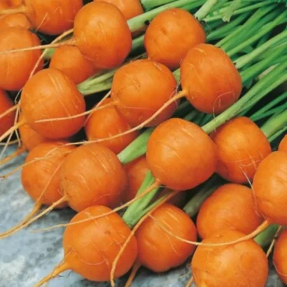 Carrot Round Nantes Seeds
