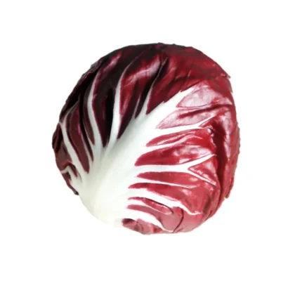 Chicory Rossa Di Verona Seeds