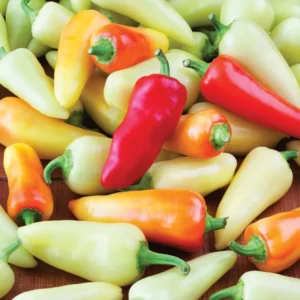 Chilli Hot Pepper OS 12 (Mirapakaya) Seeds