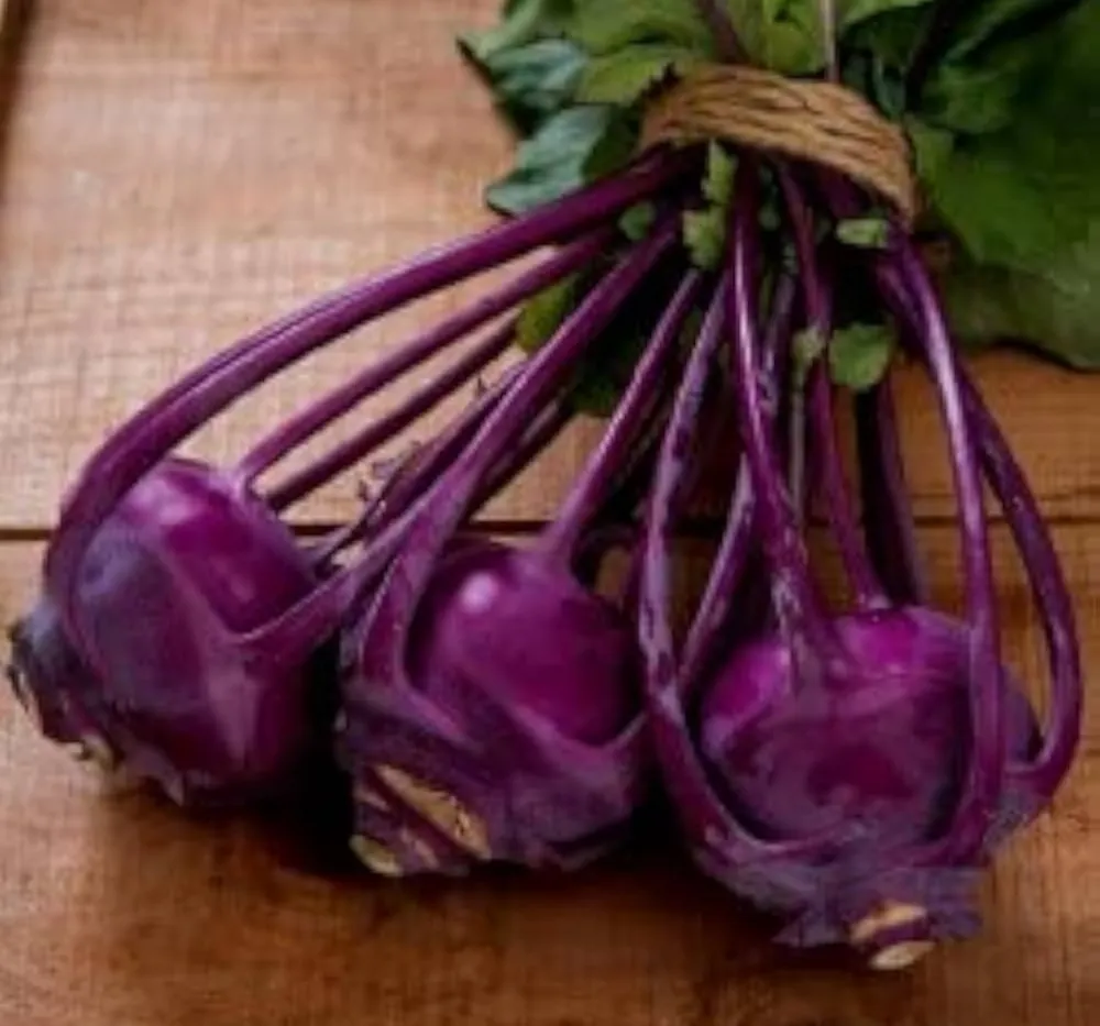 Khol Khol Purple Seeds