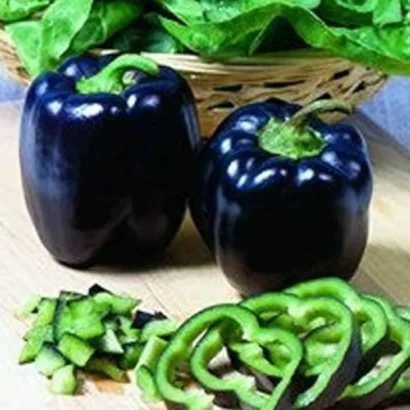 Bell Pepper Purple Black