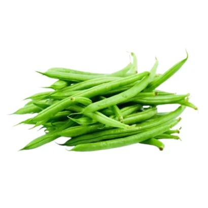 France Beans Plant with Fresh Long Green Pods – High Yield Vegetable Seeds for Home Garden and Farm