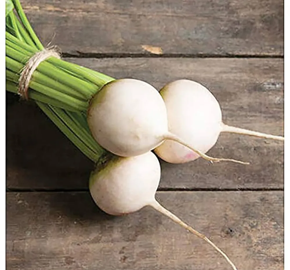 Imported White Beet Root Seeds