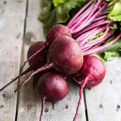 Beet Root Red
