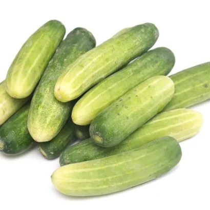 Cucumber Super Salad Seeds Packet – High Germination Seeds for Home and Commercial Gardening