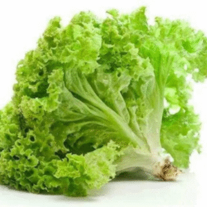 Lettuce Grand Rapids