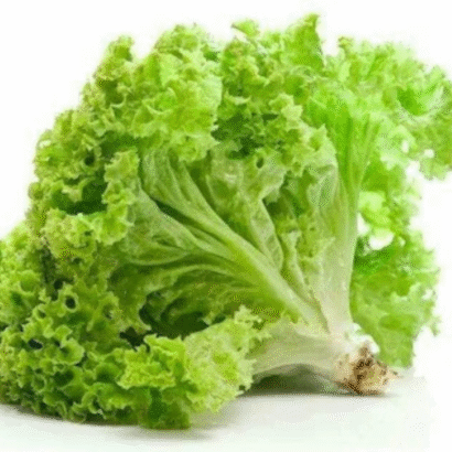 Lettuce Grand Rapids