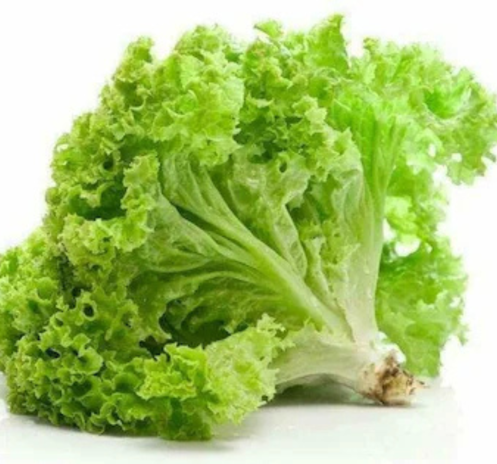 Lettuce Grand Rapids