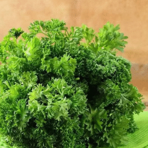 Parsley Forest Green