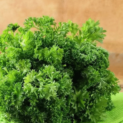 Parsley Forest Green