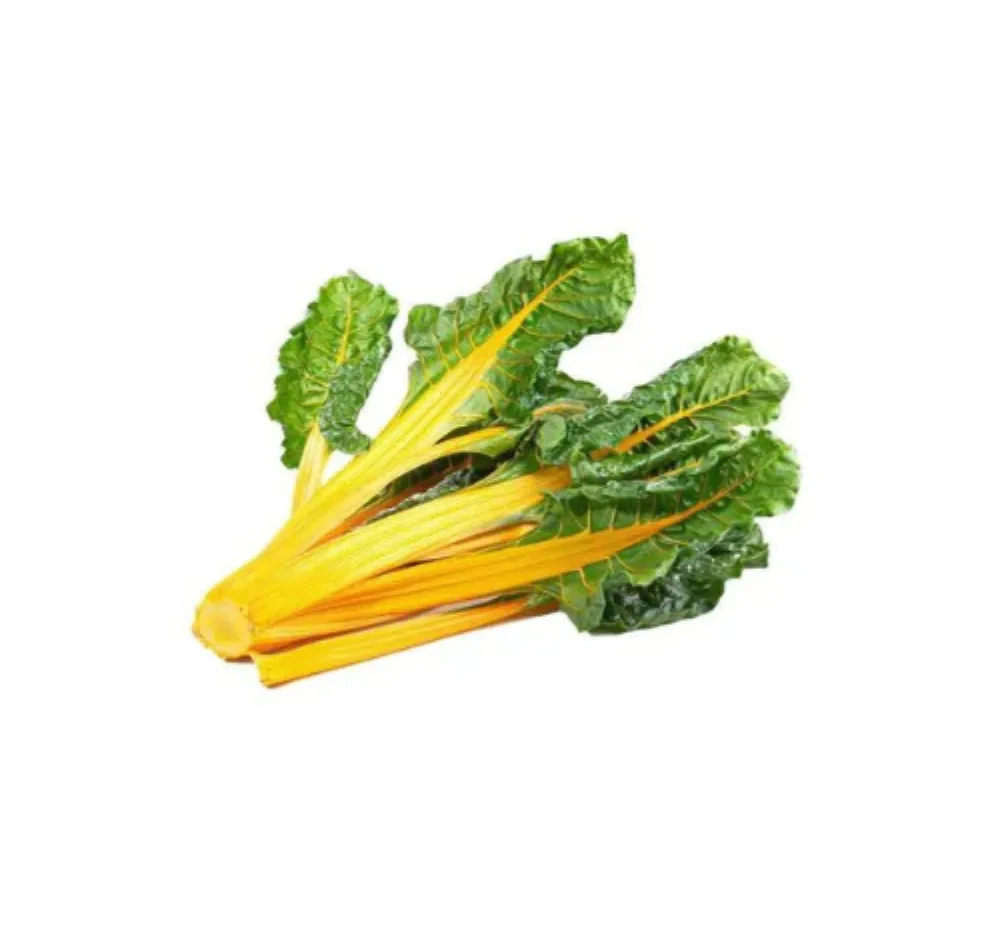 Swiss chard Bright Yellow