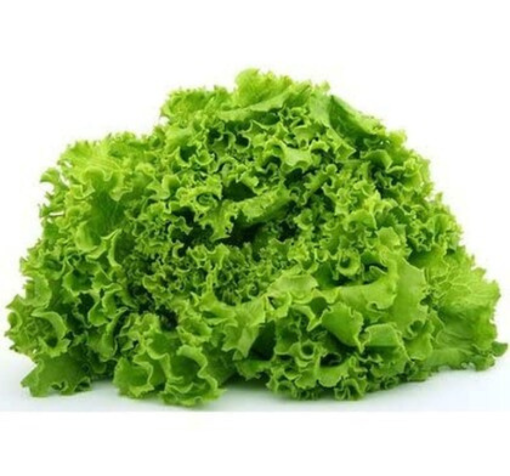 Lettuce Grand Rapids