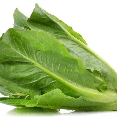 Lettuce Imported Romaine