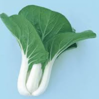 Pak Choy Imoirted White