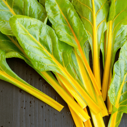 chard plants Swiss chard Bright Yellow
