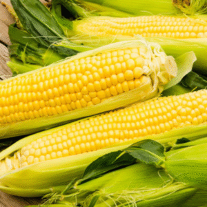 Sweet Corn