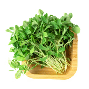 Fenugreek (Menthi Kura)