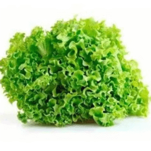 Lettuce Grand Rapids