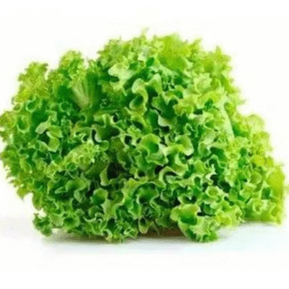 Lettuce Grand Rapids