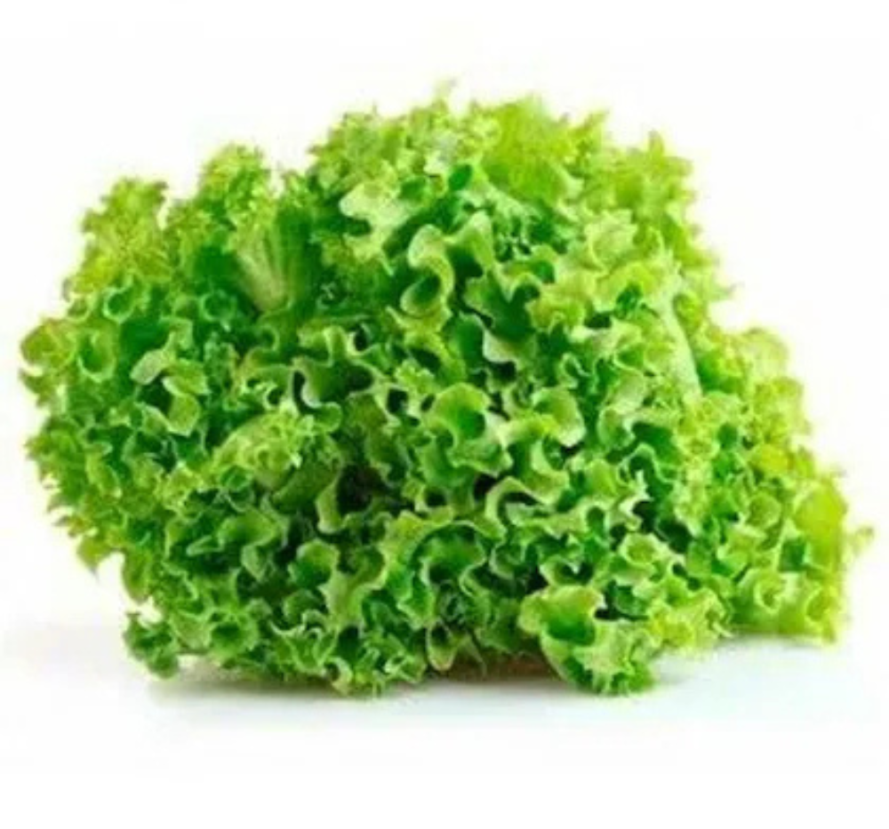 Untitled design2 Lettuce Grand Rapids