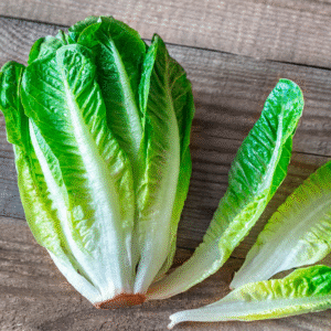 Lettuce Imported Romaine
