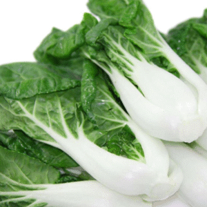 Pak Choy Imoirted White