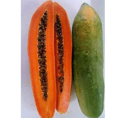 Papaya Shah Nanah