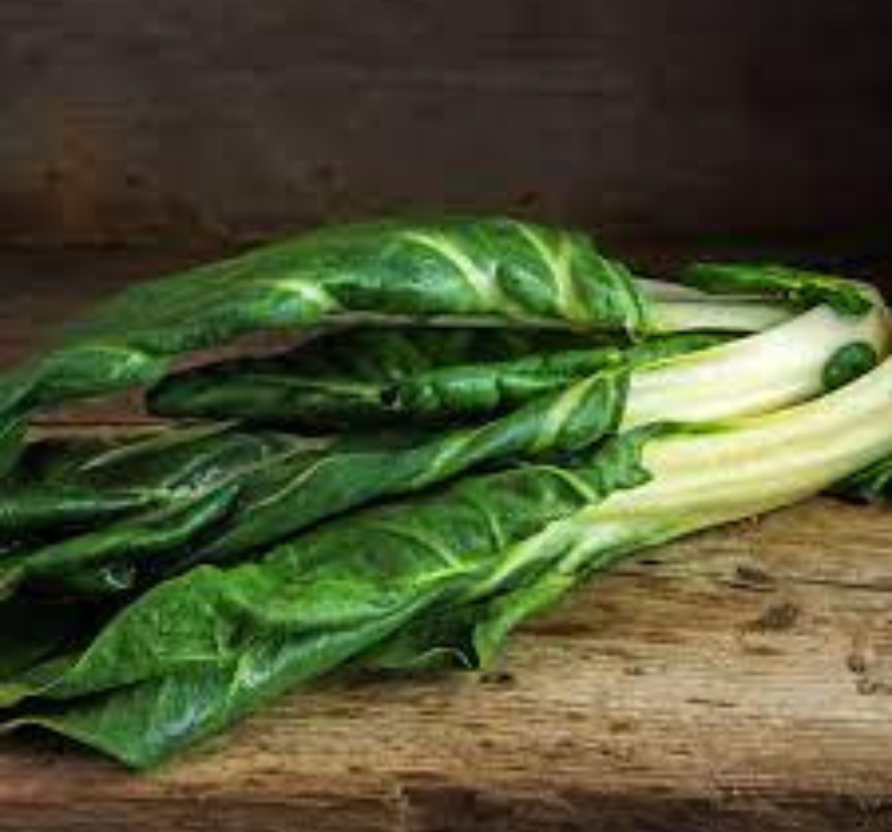 Swisschard Mangold Lucullus