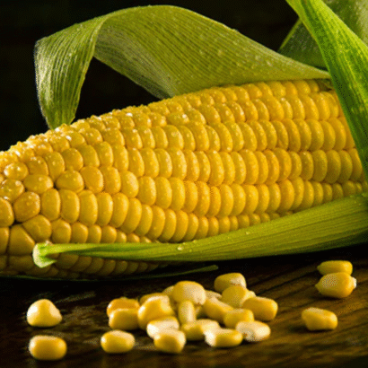 Sweet Corn