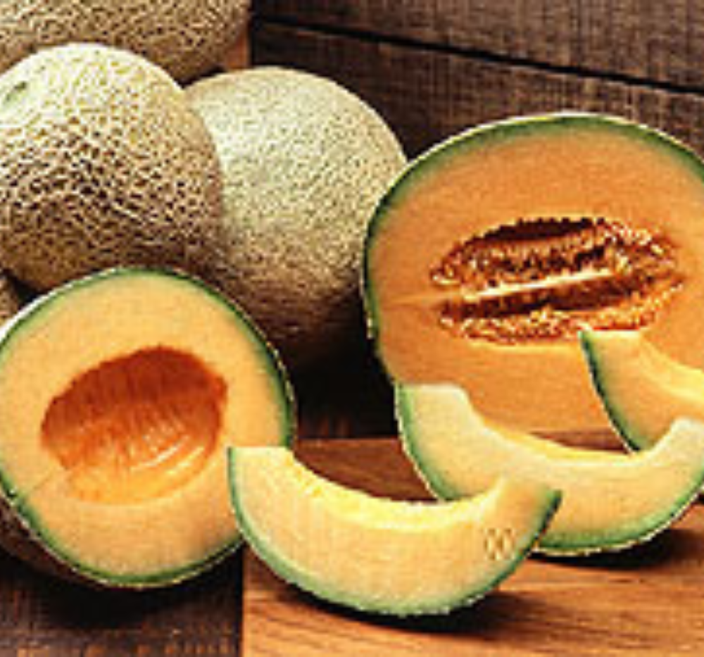 Musk Melon Nirupama