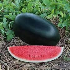 Water Melon Sanya