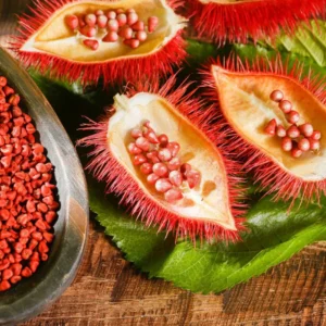 Kumkum Tree Seedlings – Bixa Orellana Plant Growing in Terrace Garden | Bhooloka Swargam