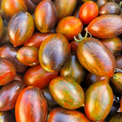 Fresh Harvest of Atomic Grape Tomatoes – Organic Home Garden