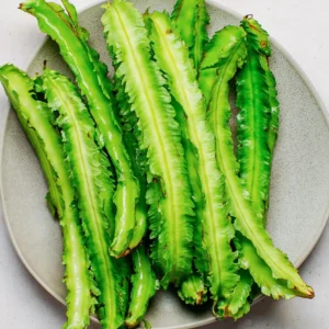 Close-up of fresh Winged Bean (Goa Bean) pods with green ridges ready for harvest