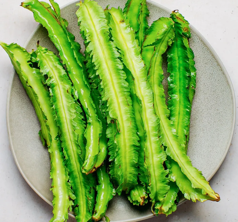 Close-up of fresh Winged Bean (Goa Bean) pods with green ridges ready for harvest
