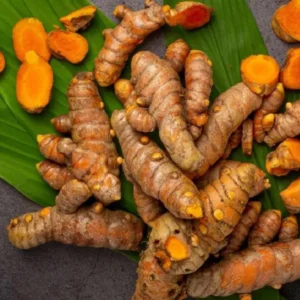 Turmeric Plant with Fresh Rhizomes – Pasupu Kommulu for Terrace and Organic Farming