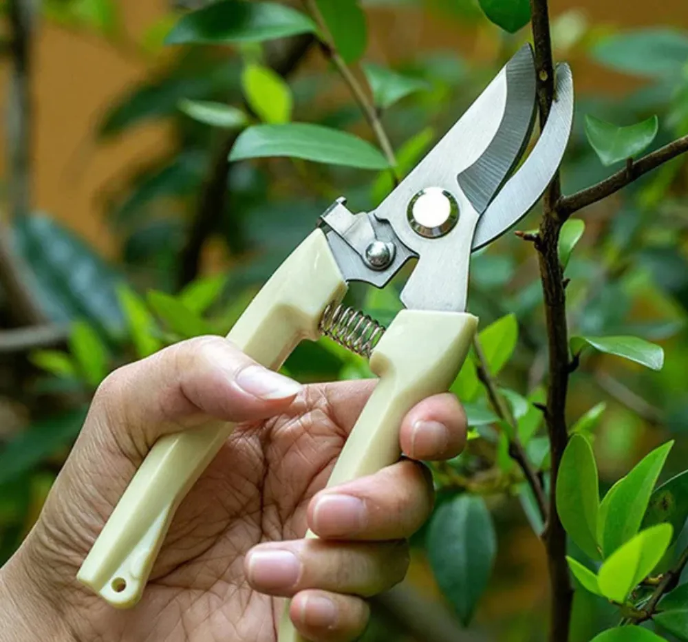 Stainless Steel Pruning Shears – Heavy Duty Garden Cutter with Comfortable Handle Stainless steel pruning shears with sharp blades and a comfortable wooden-style handle placed on a plain background.